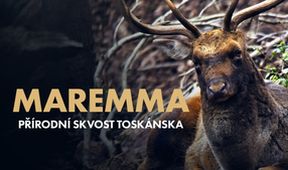 Maremma - přírodní skvost Toskánska (1/2)