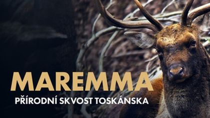 Maremma - přírodní skvost Toskánska (1/2)