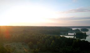 Evropská divočina (4)