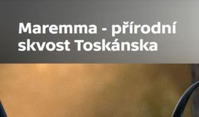 Maremma - přírodní skvost Toskánska (1/2)