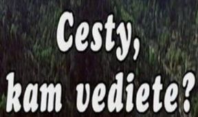 Cesty, kam vediete..?
