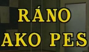 Ráno ako pes
