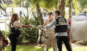 CSI: Vegas