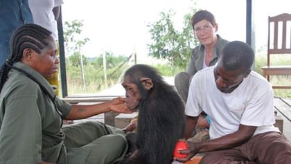 Útulek pro záchranu šimpanzů Jane Goodallové (6/6)