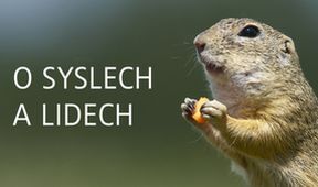 O syslech a lidech