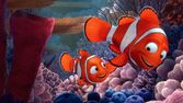 Hledá se Nemo