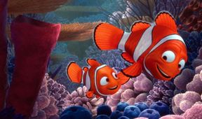 Hledá se Nemo