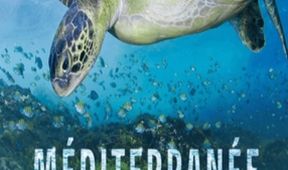 Dobrodružství s kamerou ve Středozemním moři