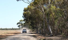 Wild Australia with Ray Mears (1)