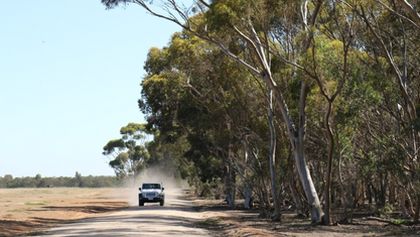 Wild Australia with Ray Mears (1)