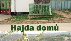 Hajda domů