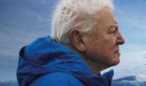 Oceán s Davidem Attenboroughem