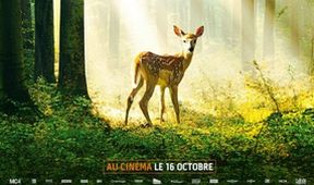 Bambi: Příběh života z lesů