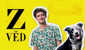 Zvěd II