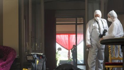Profesionál III