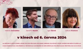 Láska na zákazku