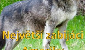 Největší zabijáci Ameriky