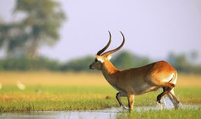 Velkolepá Afrika (5)
