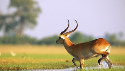 Velkolepá Afrika (5)