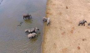 Velkolepá Afrika (1)