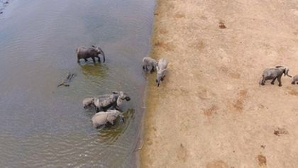 Velkolepá Afrika (1)