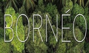 Borneo a jeho zázračný prales