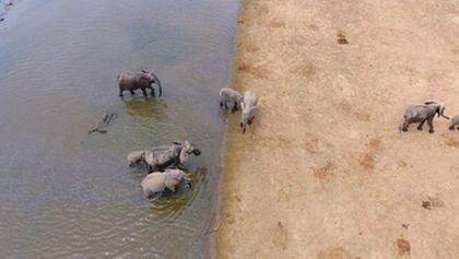 Velkolepá Afrika (5)