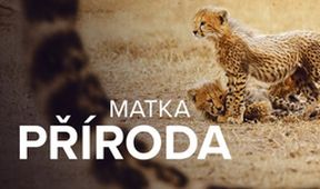 Matka příroda (1/2)