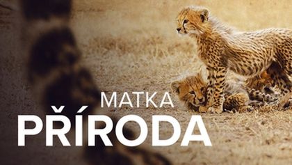 Matka příroda (1/2)