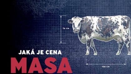 Jaká je cena masa, Dokumentární klub