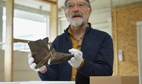 Vikingové - vzestup a pád vikingské říše (1)