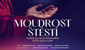 Moudrost štěstí