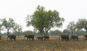 Velkolepá Afrika (5)