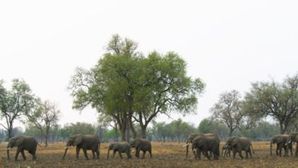 Velkolepá Afrika (5)