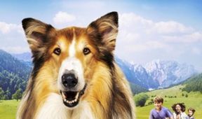 Lassie: Nové dobrodružstvo
