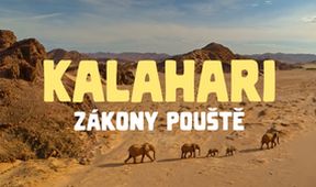 Kalahari - zákony pouště (1/2)