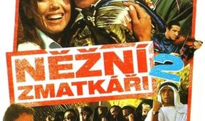 Něžní zmatkáři 2