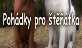 Pohádky pro štěňátka