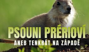 Psouni prérioví aneb Tenkrát na západě