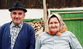 Hajda domů
