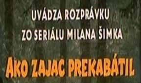 Ako zajac prekabátil lenivého horára