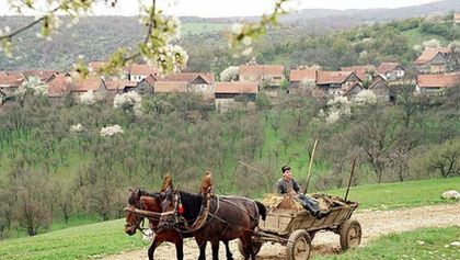 Hajda domů