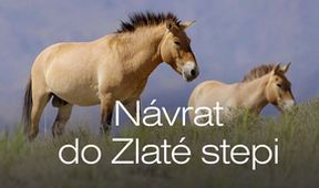 Návrat do Zlaté stepi