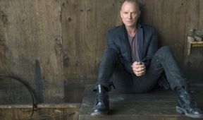 Sting!, Příběhy světové hudby