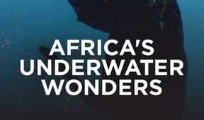 Podmořské divy Afriky (1)