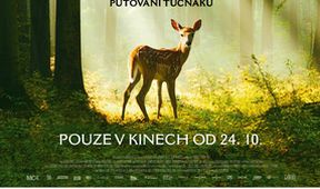 Bambi: Příběh života z lesů