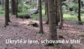 Ukryté v lese, schované v tŕstí