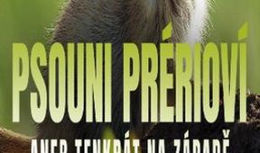 Psouni prérioví aneb Tenkrát na západě