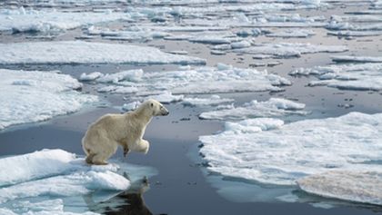 David Attenborough: Lov (1)
