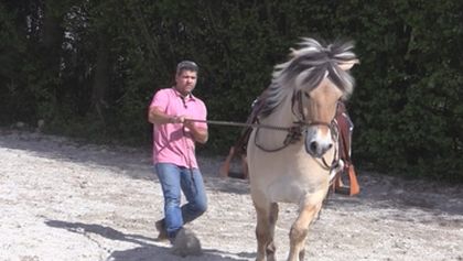 Die Pferdeprofis